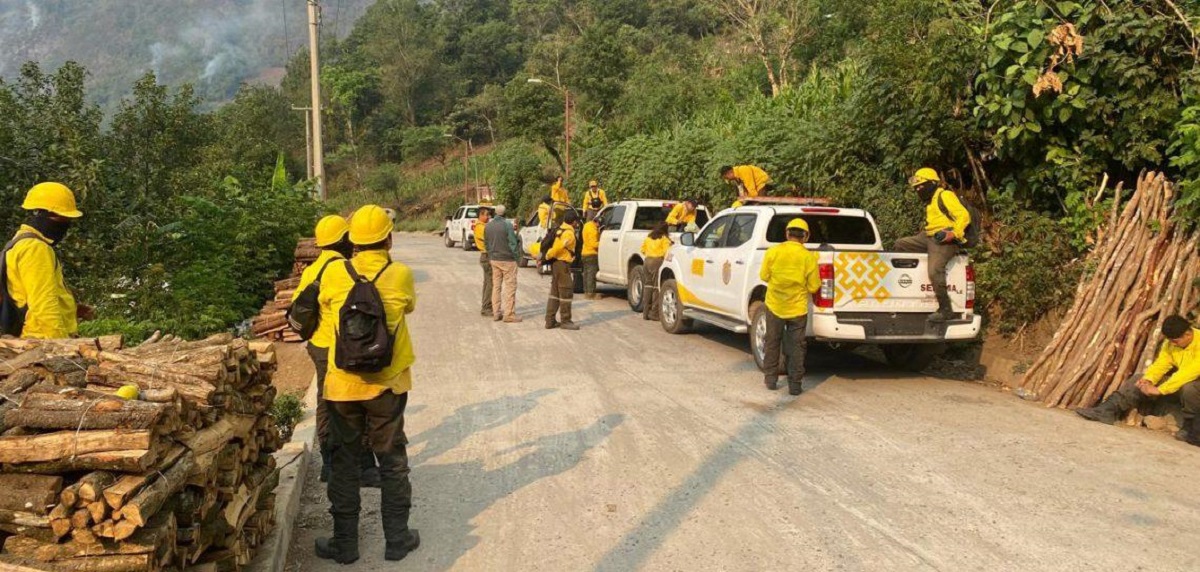 Durante la temporada, Veracruz registra 93 incendios forestales