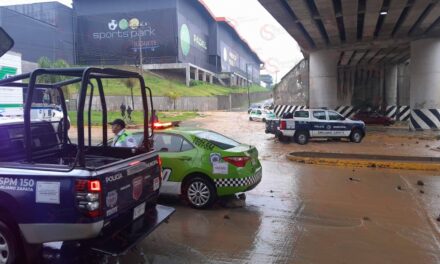 Algo debió quedar muy mal planeado en la nueva Plaza “El Juguete”