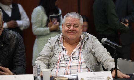 Nahle da línea política con relación a Manuel Huerta