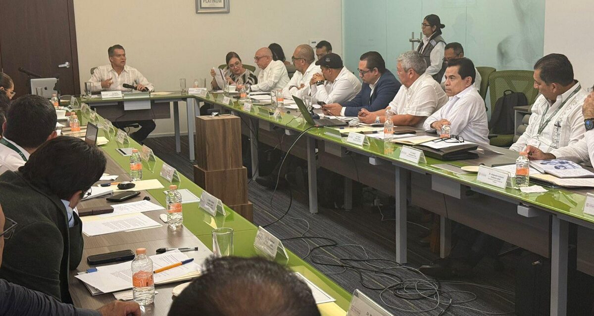 Veracruz presente en la estrategia nacional contra dengue y arbovirosis