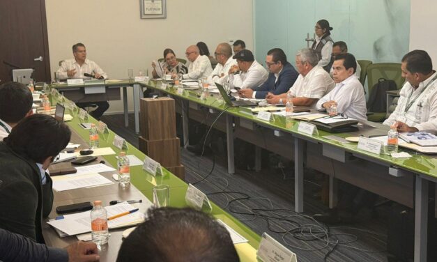 Veracruz presente en la estrategia nacional contra dengue y arbovirosis
