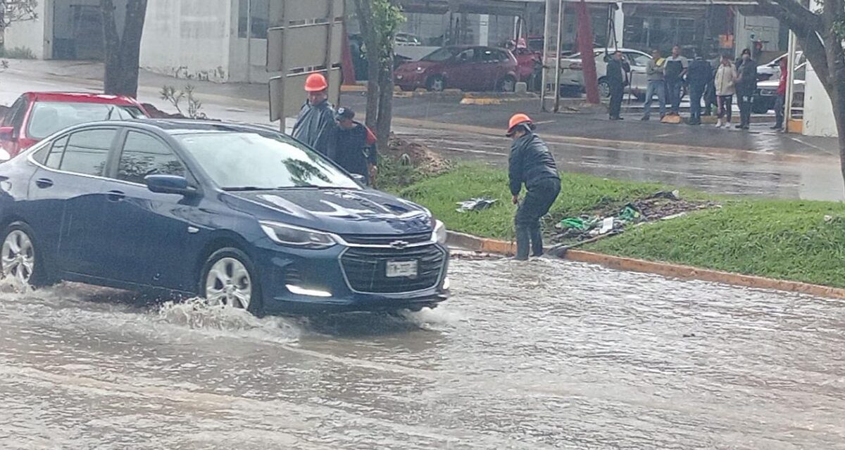 Despliega Gobierno del Estado Plan Tajín en territorio veracruzano