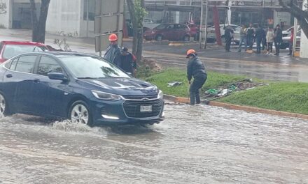 Despliega Gobierno del Estado Plan Tajín en territorio veracruzano