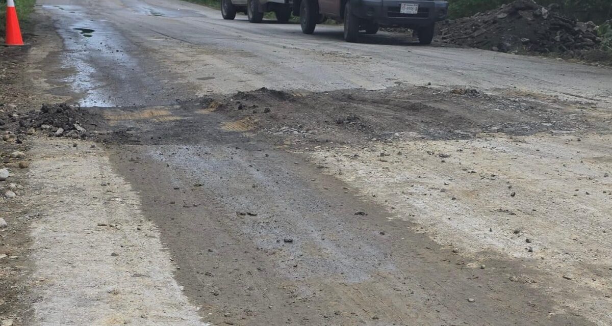 Atiende SICT socavón en la carretera Alazán-Canoas, tramo San Sebastián–Tantoyuca en Veracruz