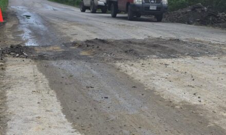 Atiende SICT socavón en la carretera Alazán-Canoas, tramo San Sebastián–Tantoyuca en Veracruz