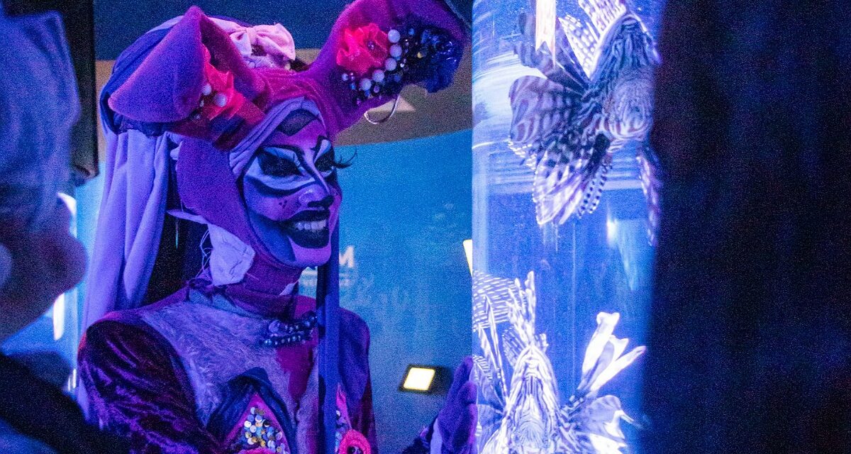 Celebra Aquarium de Veracruz el Día del Orgullo LGBTIQ+