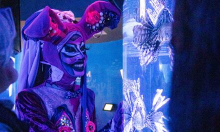 Celebra Aquarium de Veracruz el Día del Orgullo LGBTIQ+