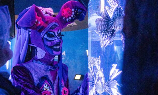 Celebra Aquarium de Veracruz el Día del Orgullo LGBTIQ+