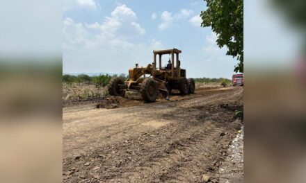Inicia construcción de caminos artesanales en el norte de Veracruz