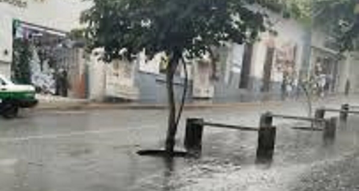 Saldo blanco tras paso de ‘Barry’ por Veracruz, Estado se mantiene en ‘Alerta’ permanente