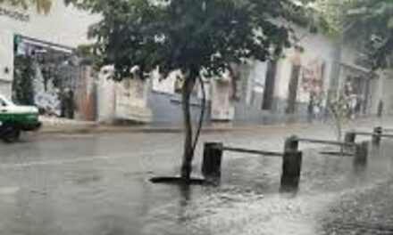 Saldo blanco tras paso de ‘Barry’ por Veracruz, Estado se mantiene en ‘Alerta’ permanente