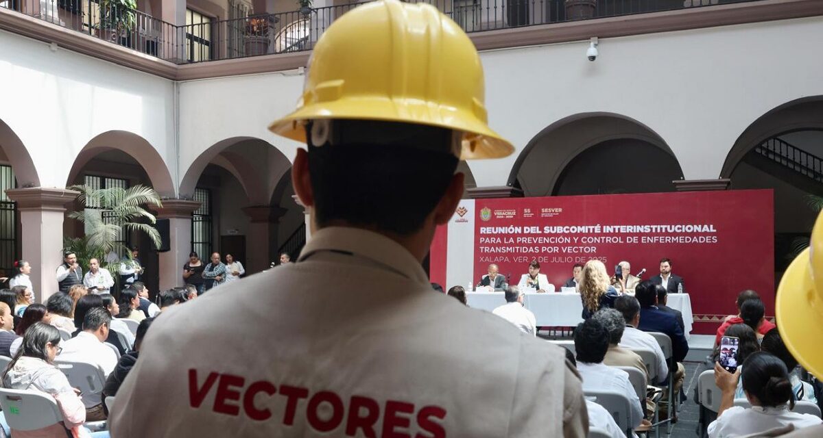 Casos de dengue en Veracruz bajan a menos de la mitad respecto al año pasado