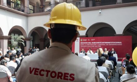 Casos de dengue en Veracruz bajan a menos de la mitad respecto al año pasado