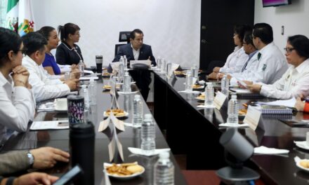 Comités de salud definen estrategias contra el cáncer en la mujer y riesgos perinatales