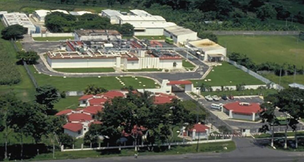 Inician rehabilitación de planta para producir ‘Mosca Estéril’ y combatir al gusano barrenador en el país, incluido Veracruz