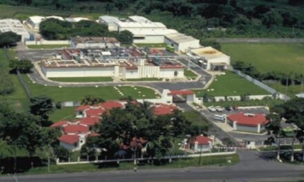 Inician rehabilitación de planta para producir ‘Mosca Estéril’ y combatir al gusano barrenador en el país, incluido Veracruz