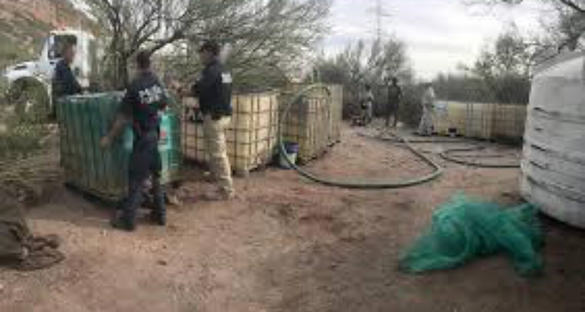 Aclara Nahle, no recibió información de Eduardo León sobre ‘robo de combustible’ cuando fue titular de Energía