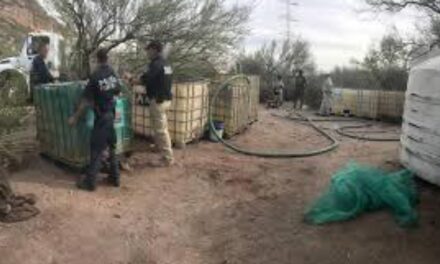 Aclara Nahle, no recibió información de Eduardo León sobre ‘robo de combustible’ cuando fue titular de Energía