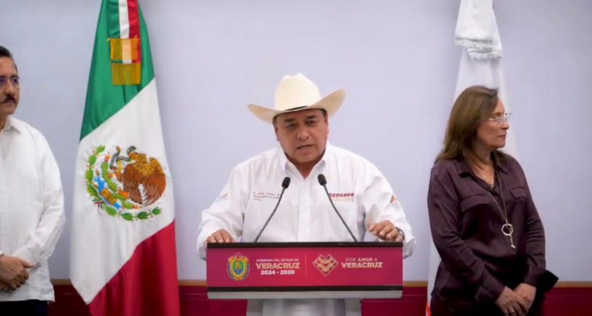 Vigilancia permanente para evitar propagación del gusano barrenador: Sedarpa