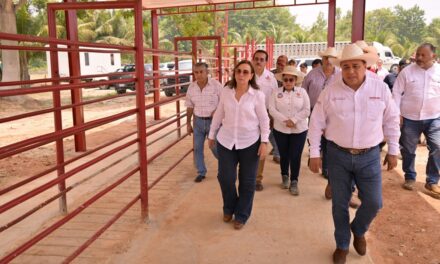 Camionetitas de sanidad animal parte de la estrategia de prevención y combate al gusano barrenador en Veracruz: Rocío Nahle