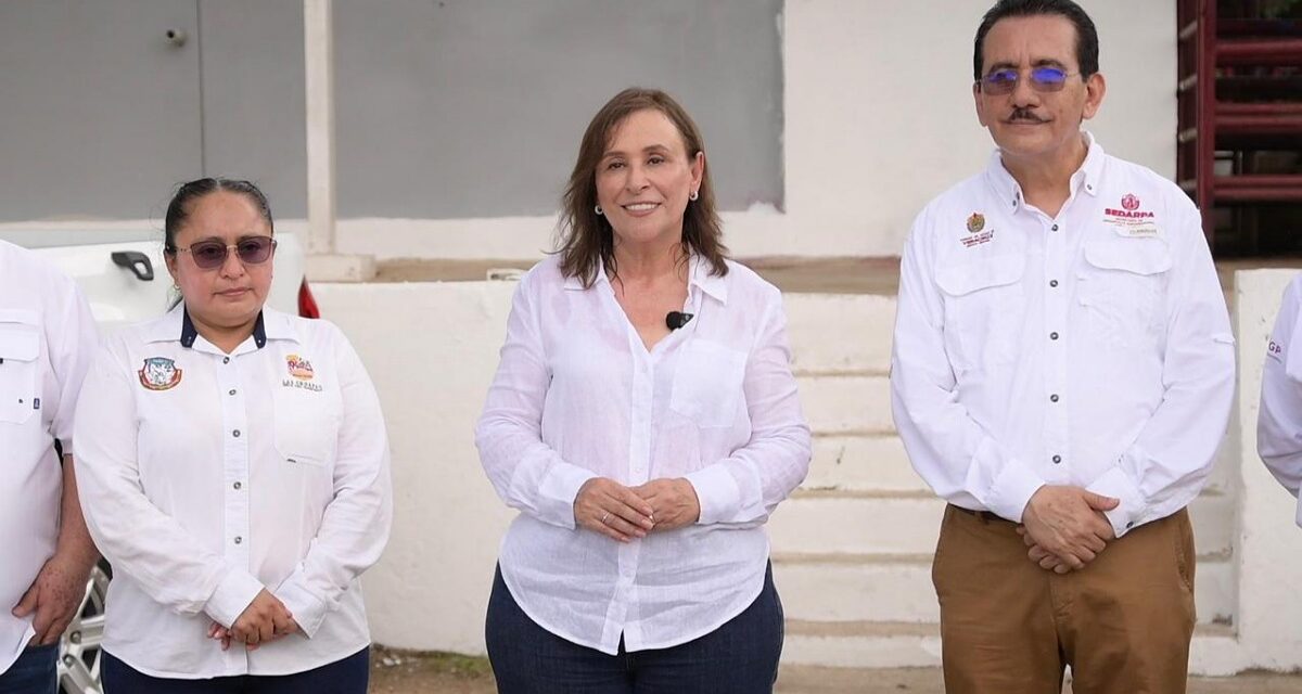 Inician en Veracruz las ‘Camionetitas de Sanidad Animal’ para combatir al gusano barrenador