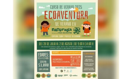 Eco Aventura 2025: Educación ambiental para una niñez consciente