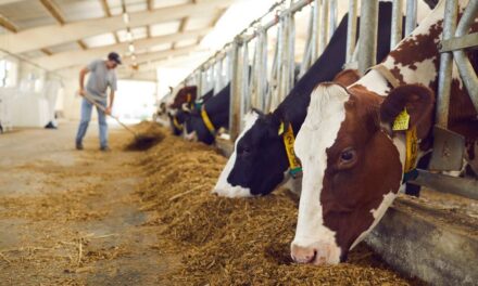 SEDARPA inicia con campaña zoosanitaria en norte de Veracruz