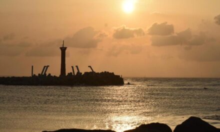 Y como dice el choteadísimo dicho 4Tero amor con amor se paga