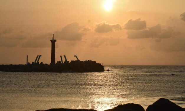 Y como dice el choteadísimo dicho 4Tero amor con amor se paga