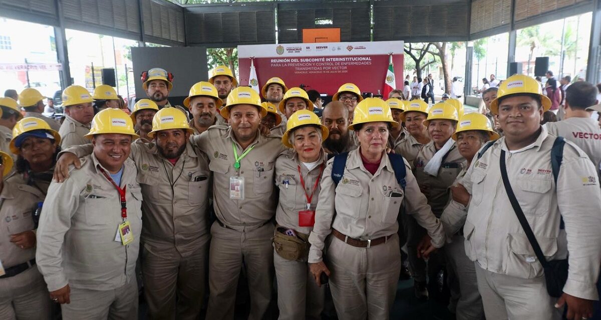 Combate al dengue y al mosquito transmisor un prioridad en Veracruz