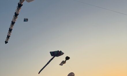 Invita SECVER a disfrutar de los papalotes gigantes durante el Festival del Mar