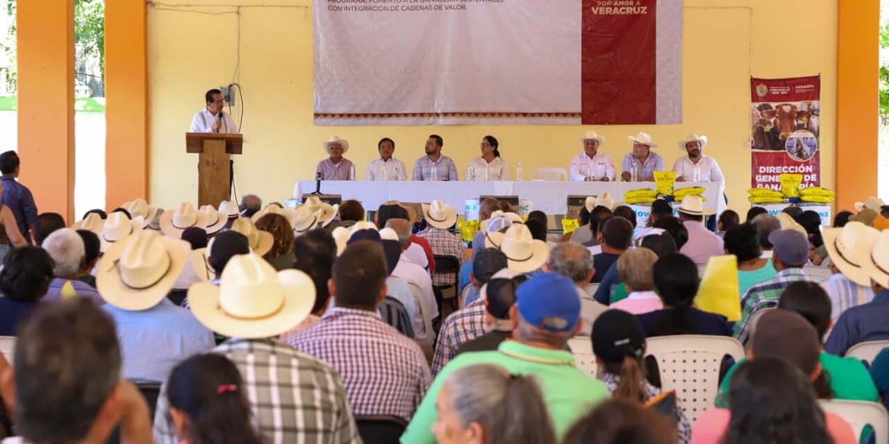 Sedarpa impulsa a más de 5 mil productores pecuarios de 30 municipios