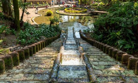 Recorre Xalapa, ciudad de parques: un respiro entre la urbanidad y la naturaleza