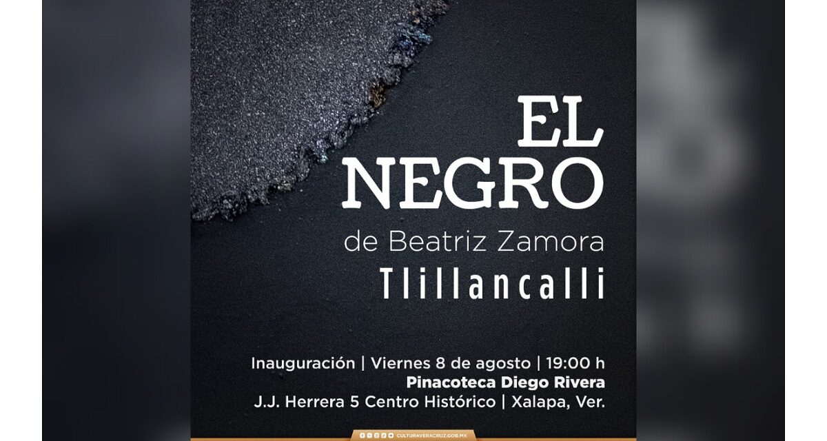 Este viernes se inaugura exposición de Beatriz Zamora en la Pinacoteca