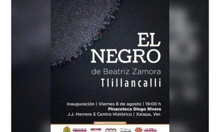 Este viernes se inaugura exposición de Beatriz Zamora en la Pinacoteca