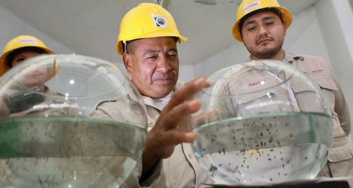 Intensifican acciones de combate contra dengue en Veracruz