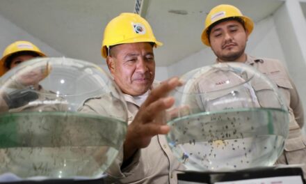 Intensifican acciones de combate contra dengue en Veracruz