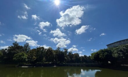 Durante agosto y septiembre se prevé ambiente más cálido de lo normal