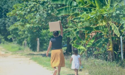 DIF entrega más de 2 mil canastas alimentarias a familias en el sur de Veracruz