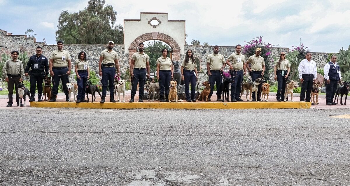 SENASICA y CEACAN capacitan binomios caninos para resguardar sanidad en México, Centroamérica y el Caribe
