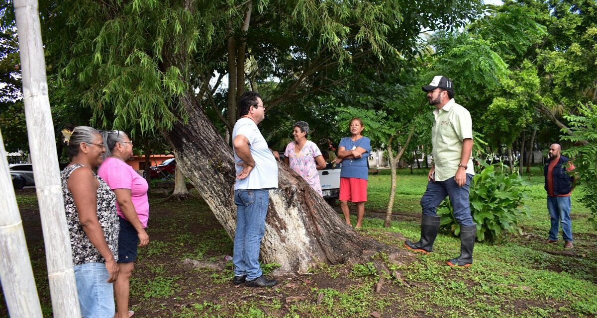 Con acciones coordinadas, CAEV y Sedema al rescate de la laguna de San Julián