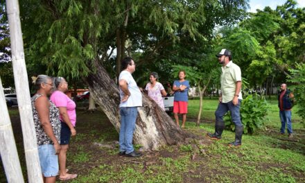 Con acciones coordinadas, CAEV y Sedema al rescate de la laguna de San Julián