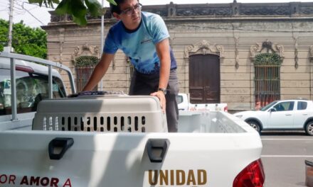 PMA garantiza atención veterinaria y adopciones responsables de animales en refugios