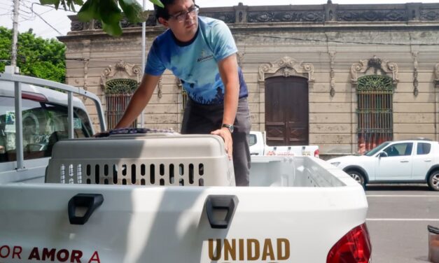 PMA garantiza atención veterinaria y adopciones responsables de animales en refugios