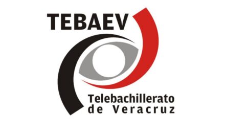 Denuncian a director de TEBAEV por acoso sexual y laboral