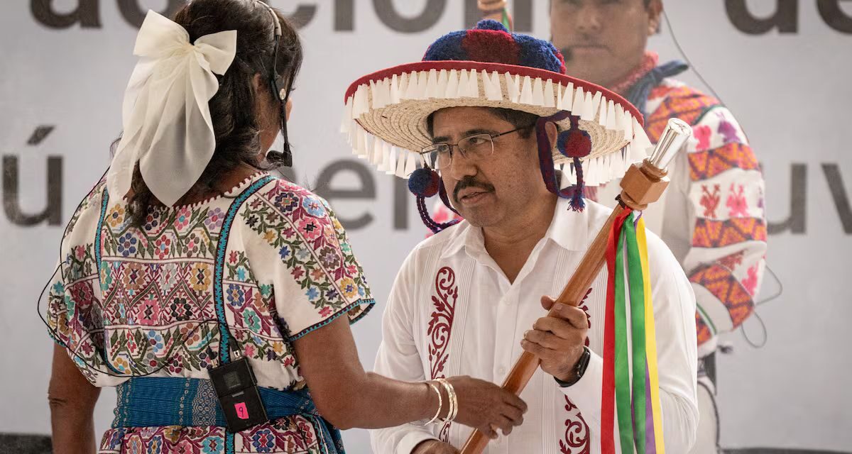 Y ellos si ¿Nos representan?