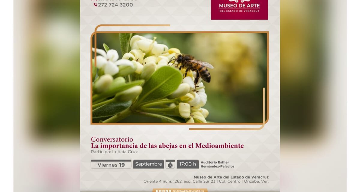 Jornada medioambiental ofrecerá productos de la colmena en el MAEV