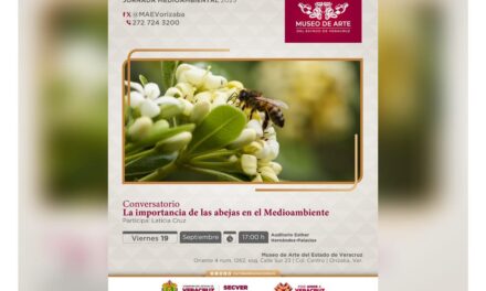 Jornada medioambiental ofrecerá productos de la colmena en el MAEV