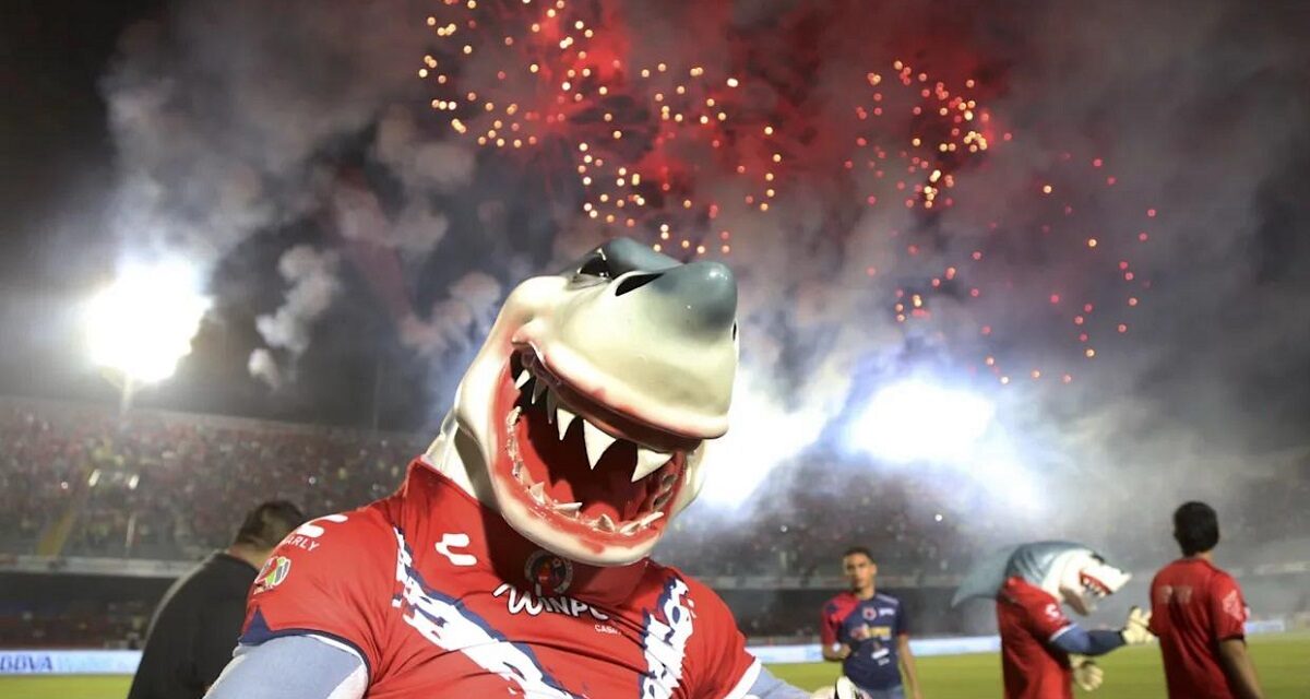 ‘Todos quieren que regrese el Tiburón’, confirma Nahle diálogo con empresarios, entre ellos Fidel Kuri