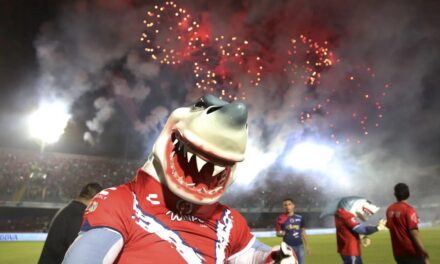 ‘Todos quieren que regrese el Tiburón’, confirma Nahle diálogo con empresarios, entre ellos Fidel Kuri